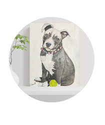 Pet and people portraits now available with local Daylesford artists