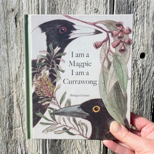 I am a Magpie, I am a Currawong Hardcover Picture Book by Bridget Farmer