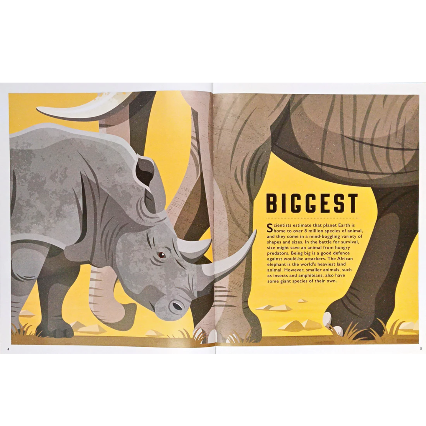Amazing Animals Hardcover Picture Book