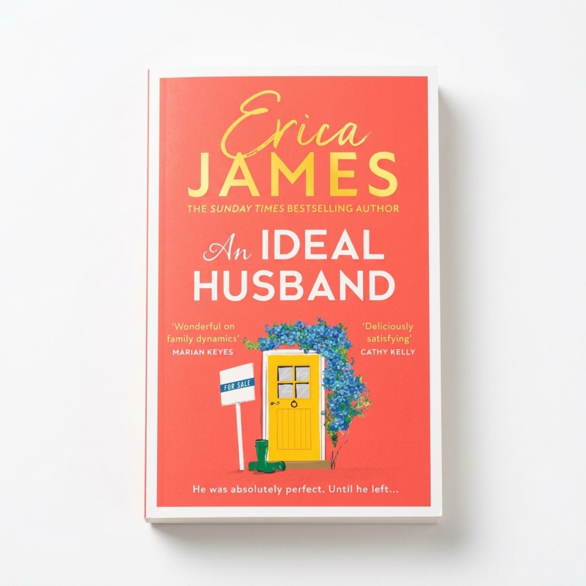 An Ideal Husband fiction novel