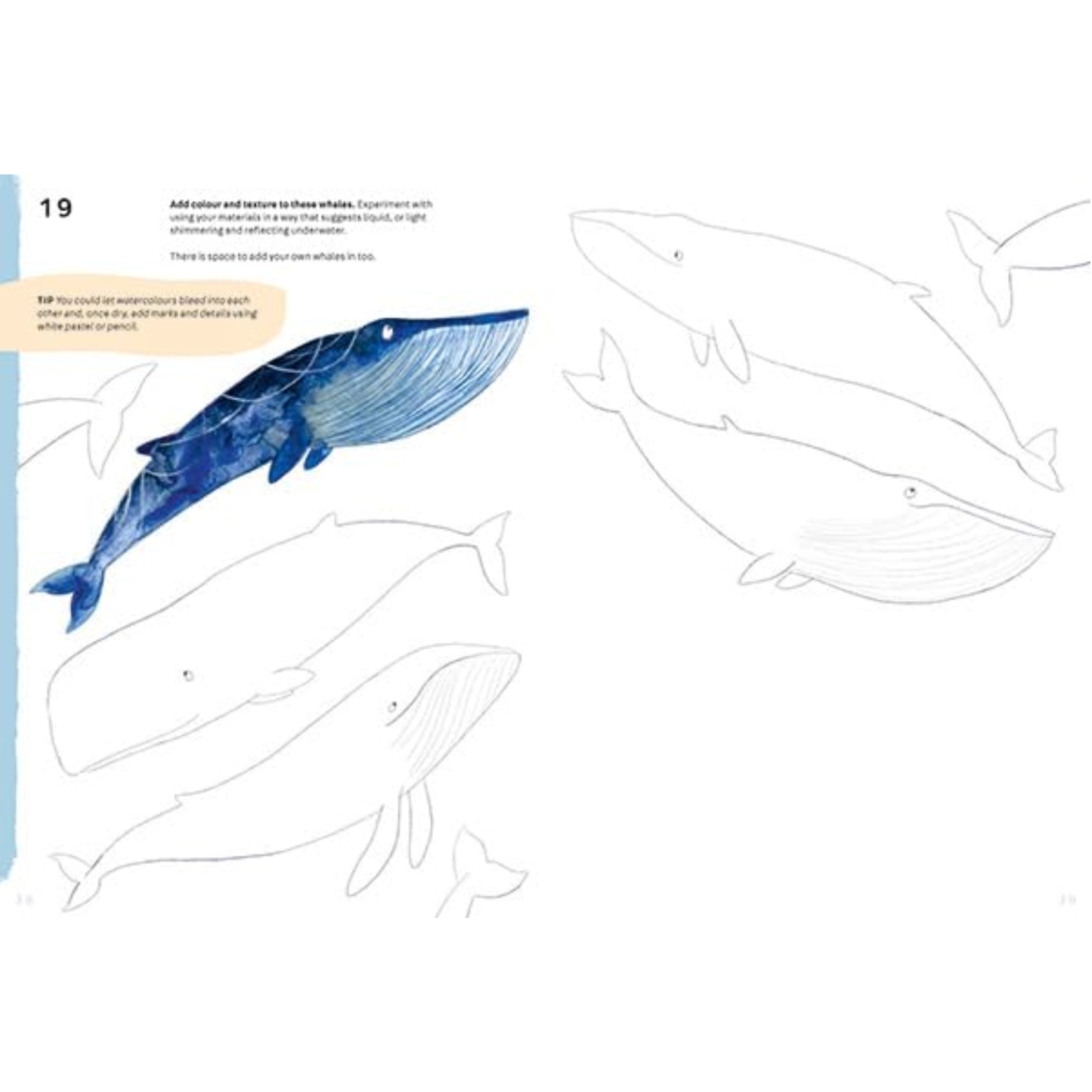 Animal Art: 101 Creative Activities to Inspire and Guide You