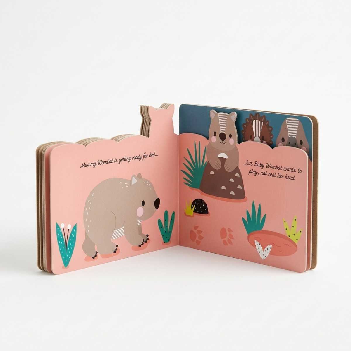Aussie Animals Picture Book