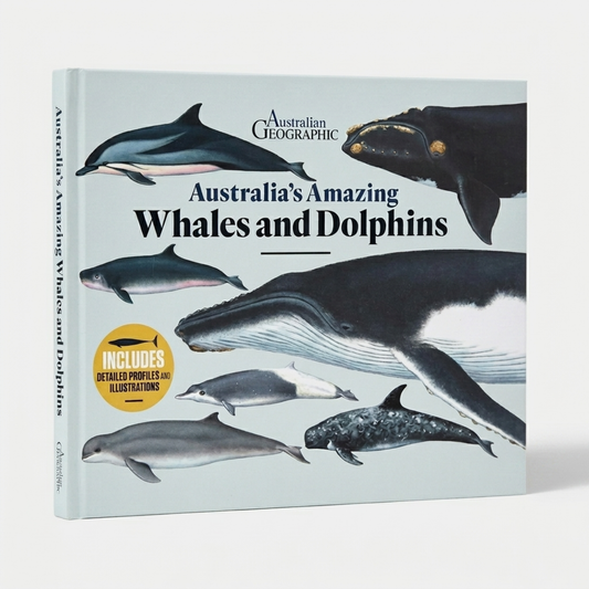 Australia's Amazing Whales and Dolphins Picture Book