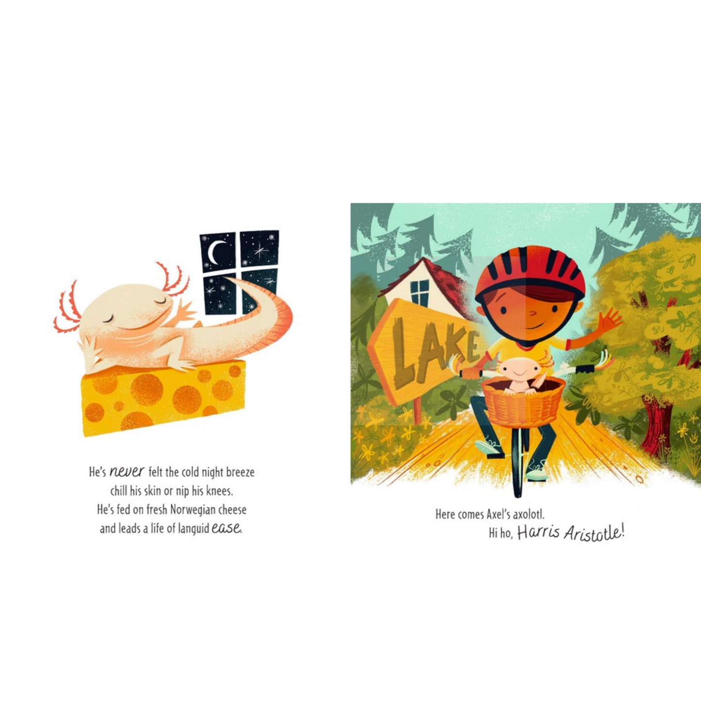 Little Axel's Axolotl Picture Book