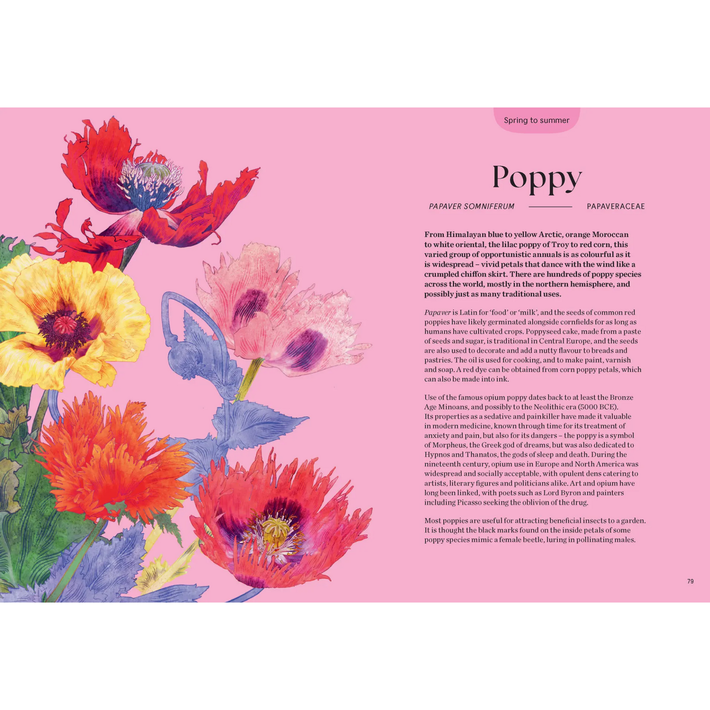 Blossom: Practical and Creative Ways to Find Wonder in the Floral World