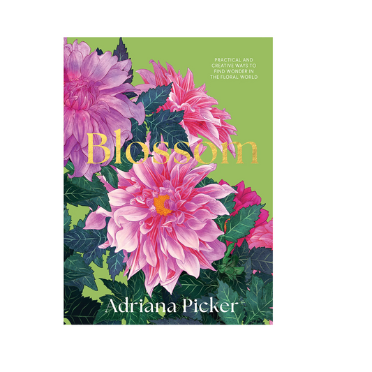 Blossom: Practical and Creative Ways to Find Wonder in the Floral World