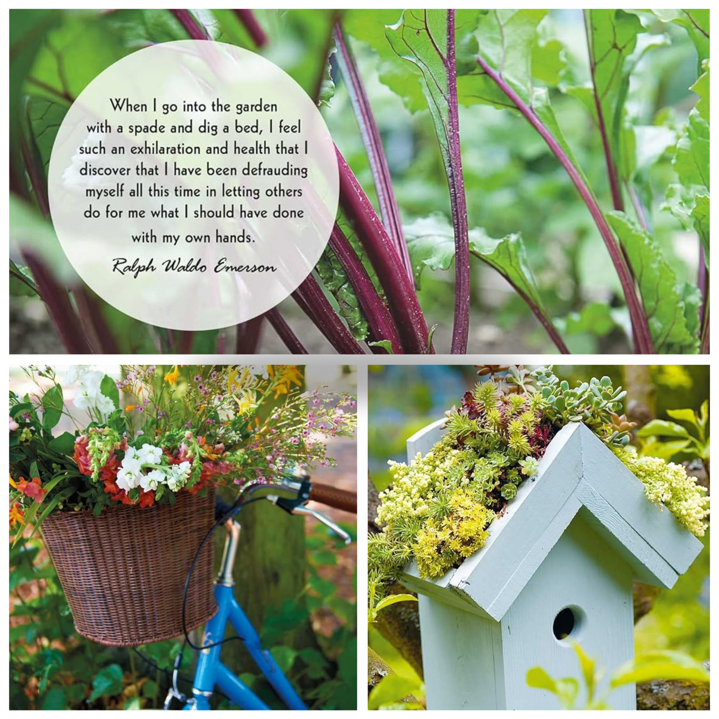 Mindful Gardening Book, Small