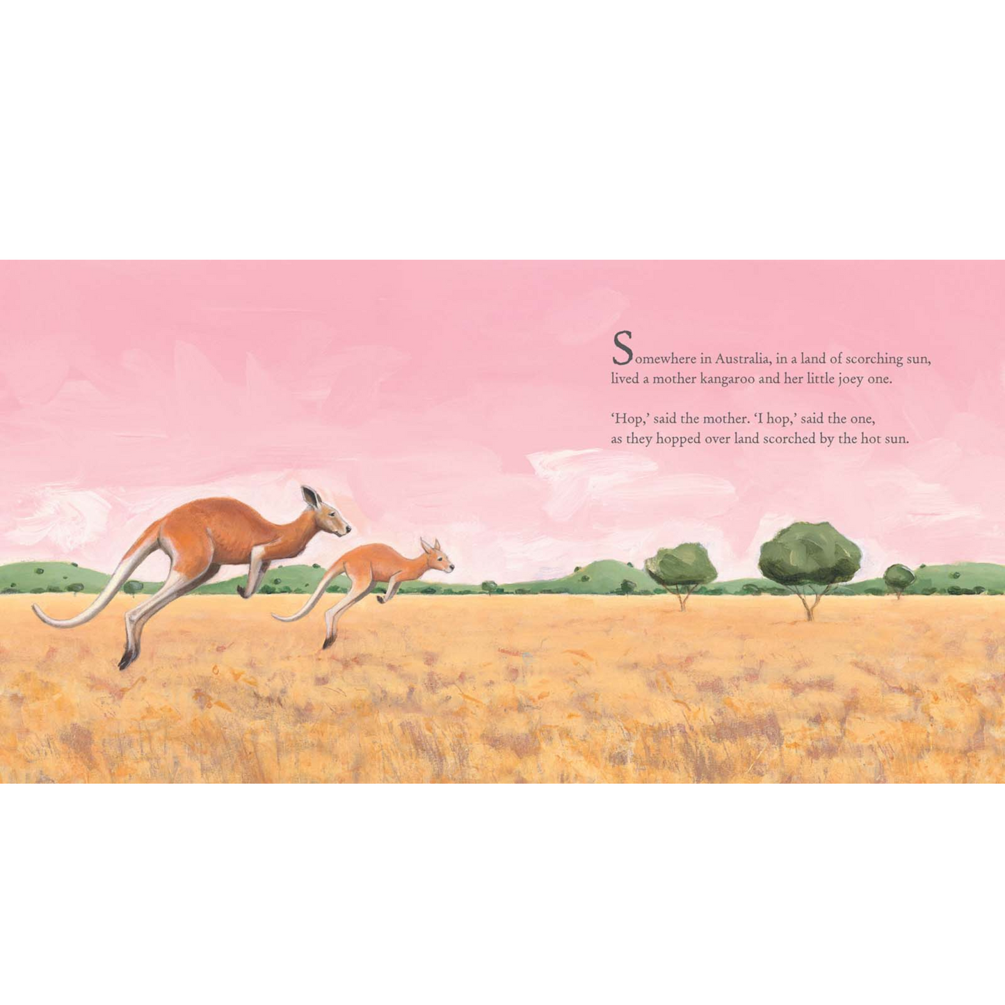 Somewhere in Australia Picture Book