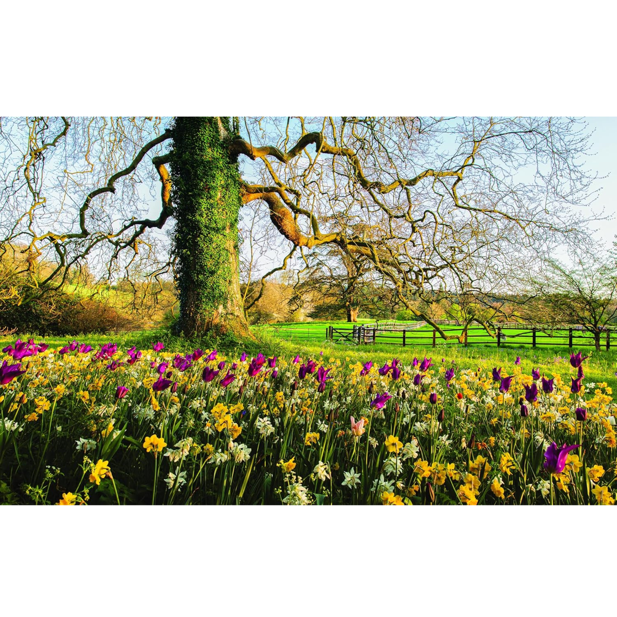 Martha Stewarts Gardening Handbook