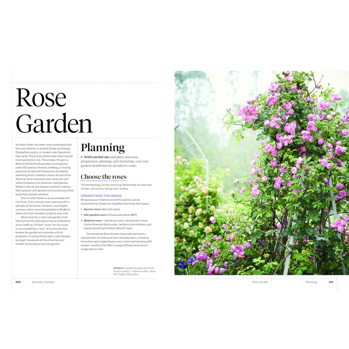 Martha Stewarts Gardening Handbook