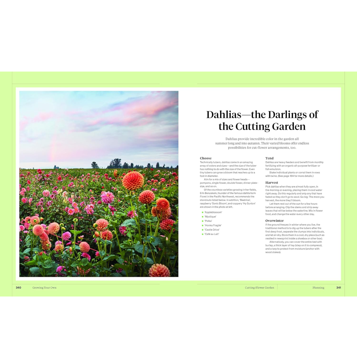 Martha Stewarts Gardening Handbook