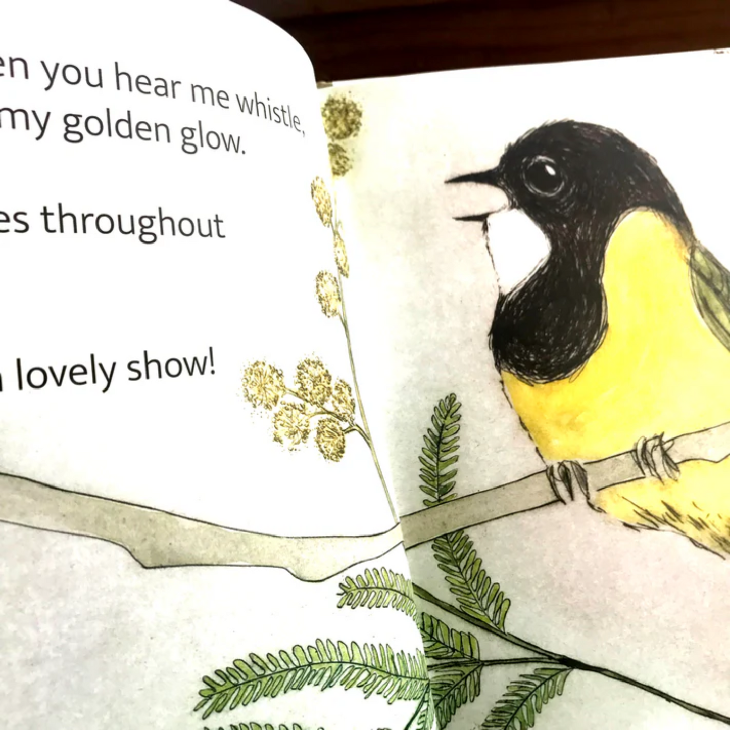 The Bush Birds Hardcover Picture Book by Bridget Farmer