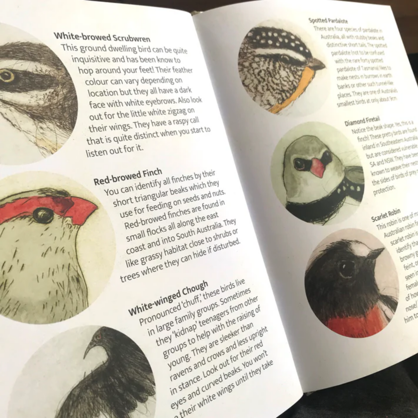 The Bush Birds Hardcover Picture Book by Bridget Farmer