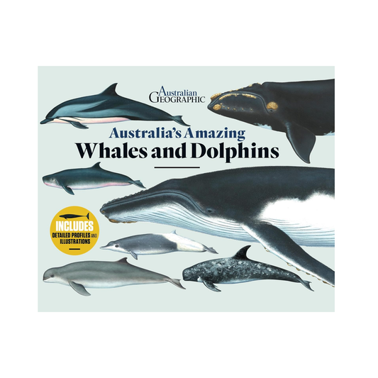 Australia's Amazing Whales and Dolphins Picture Book