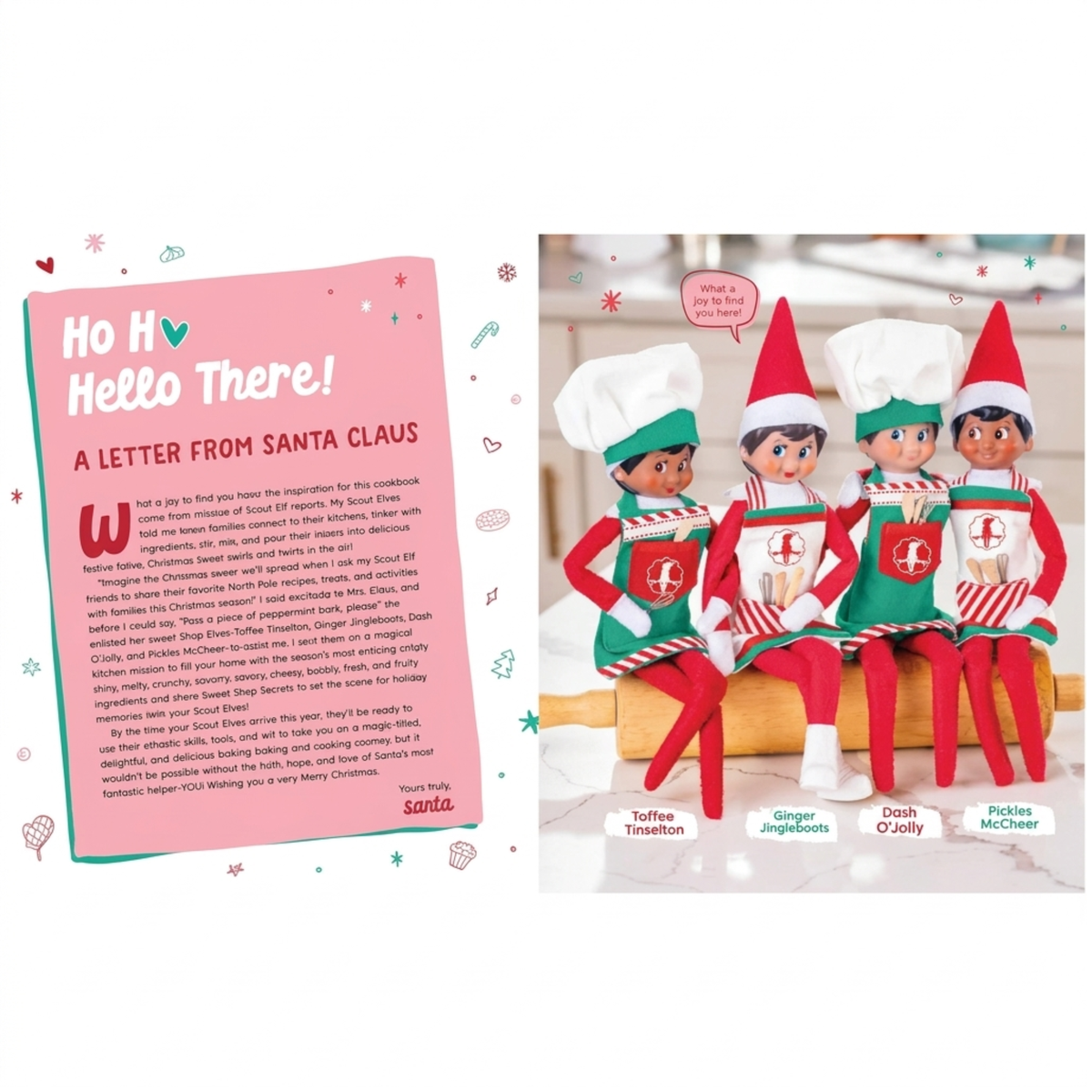 Elf on the Shelf Cookbook