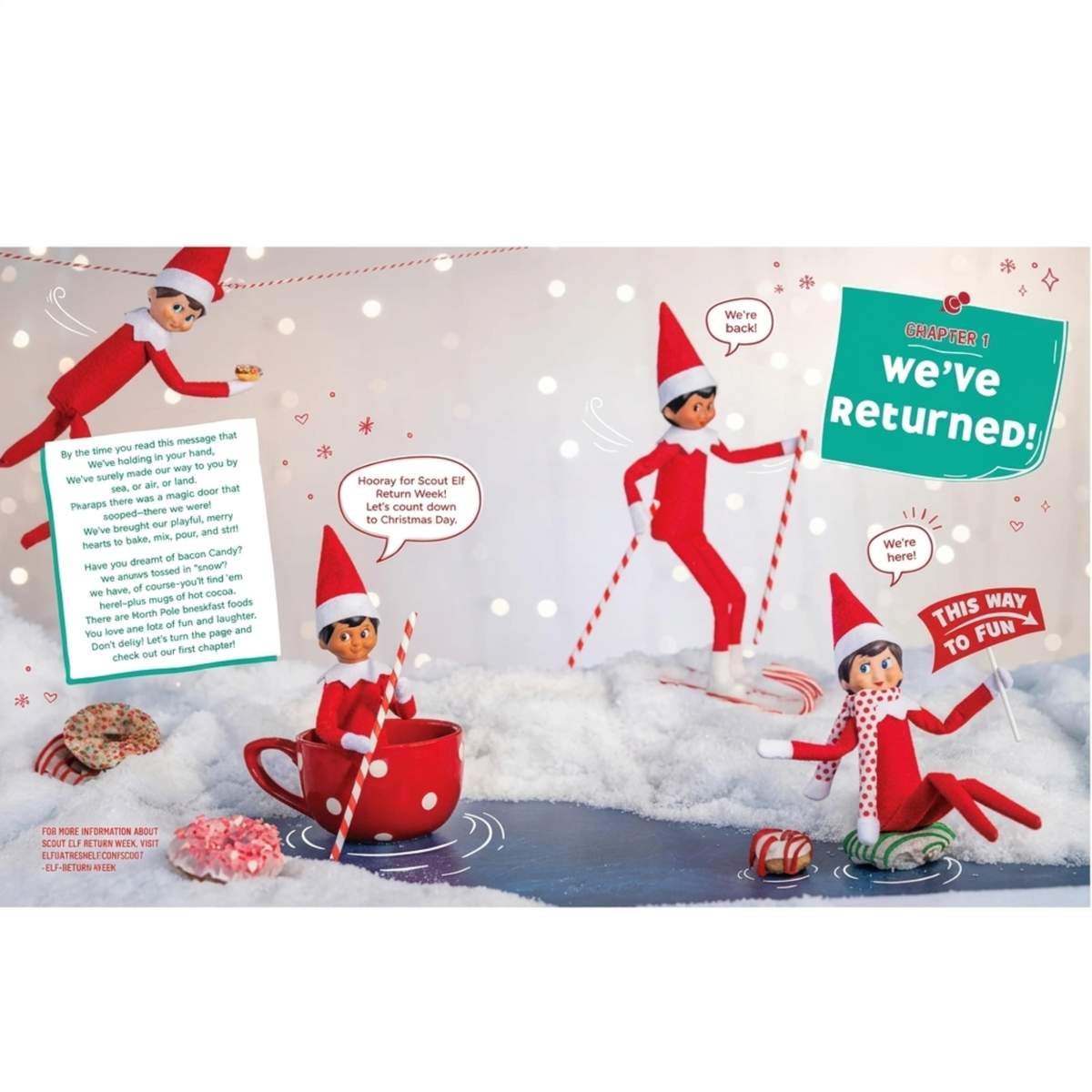 Elf on the Shelf Cookbook