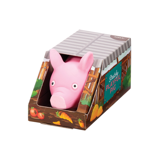 Stretchy Playful Pig, Fidget Toy