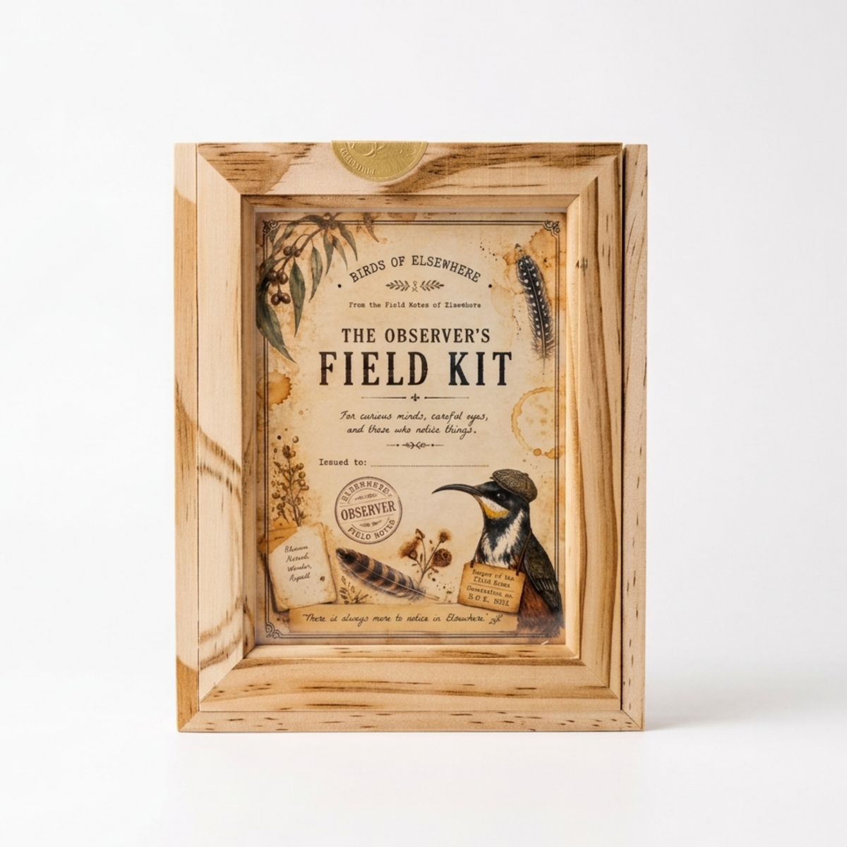 Local | Kirsty Madigan Kids Observer Field Kit