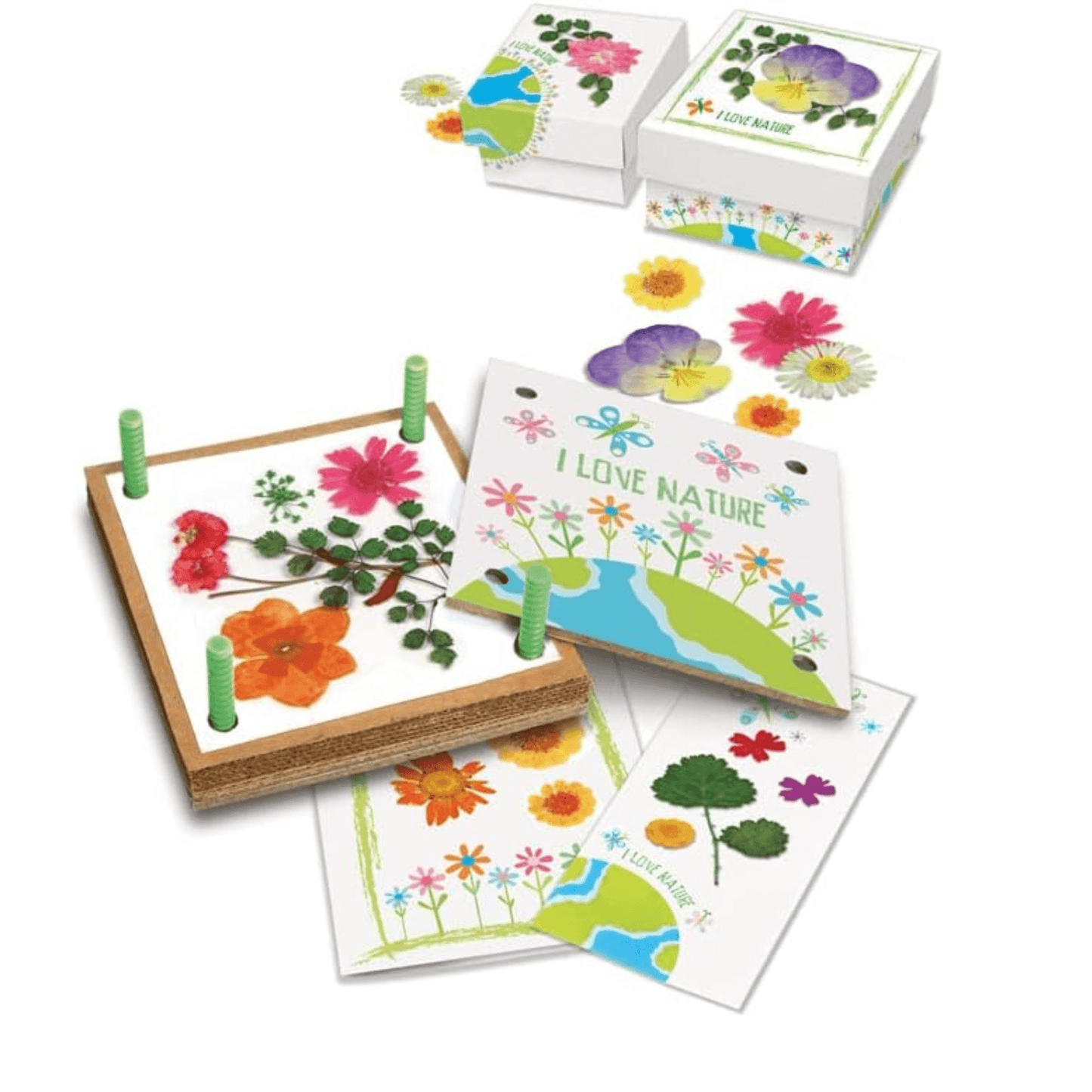 4M Green Science: Pressed Flower Art Activity Kit