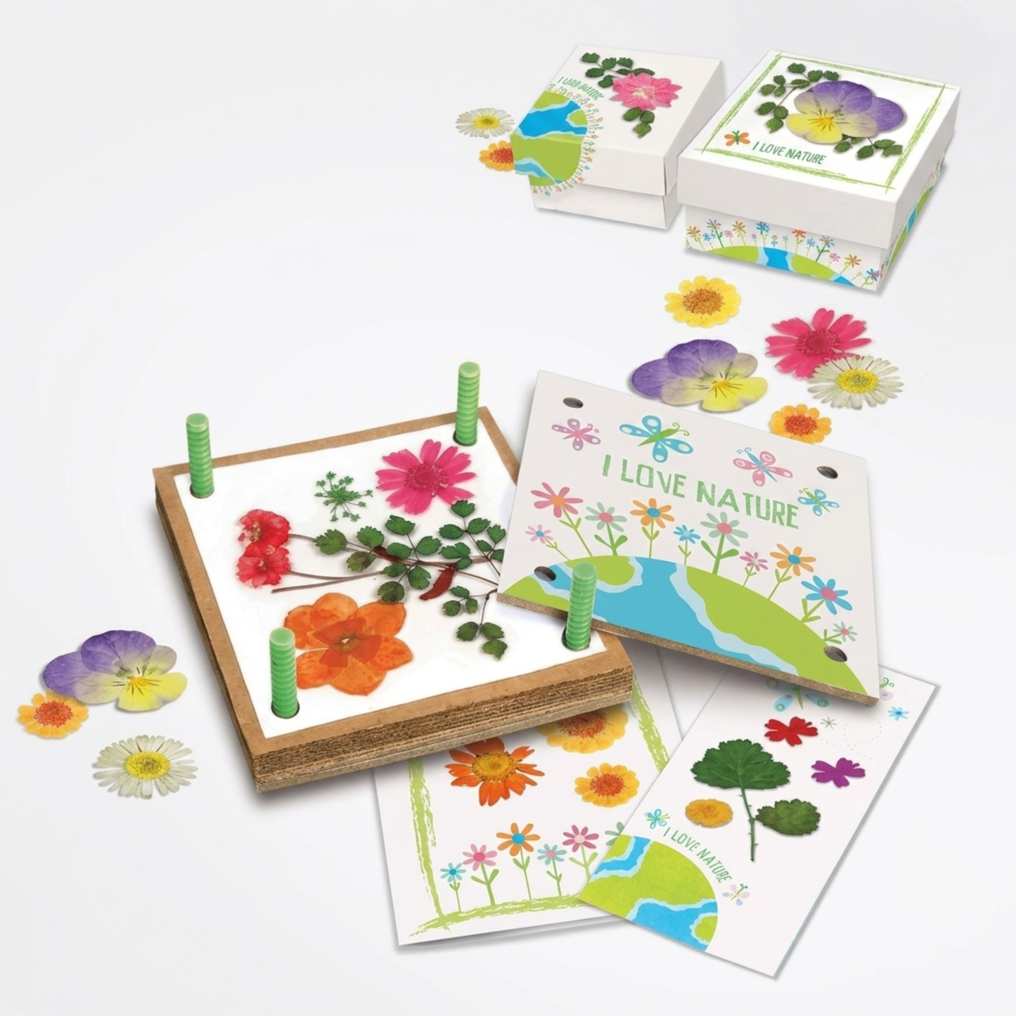 4M Green Science: Pressed Flower Art Activity Kit