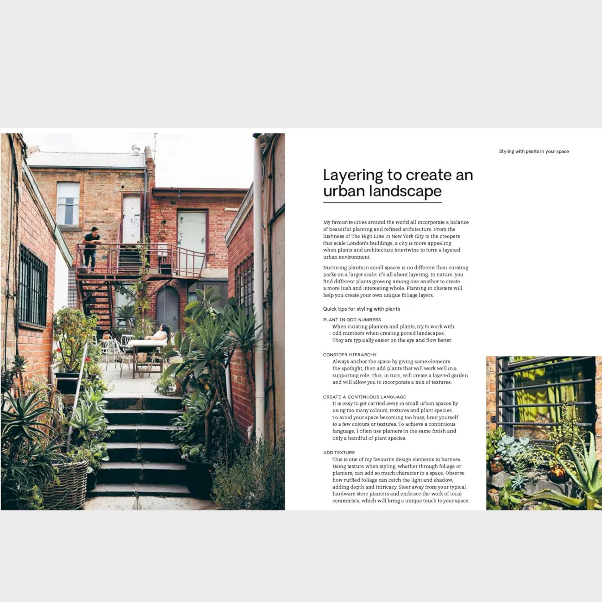 Indoor gardening layout showcasing urban plant care and styling ideas from Jason Chongue's book.