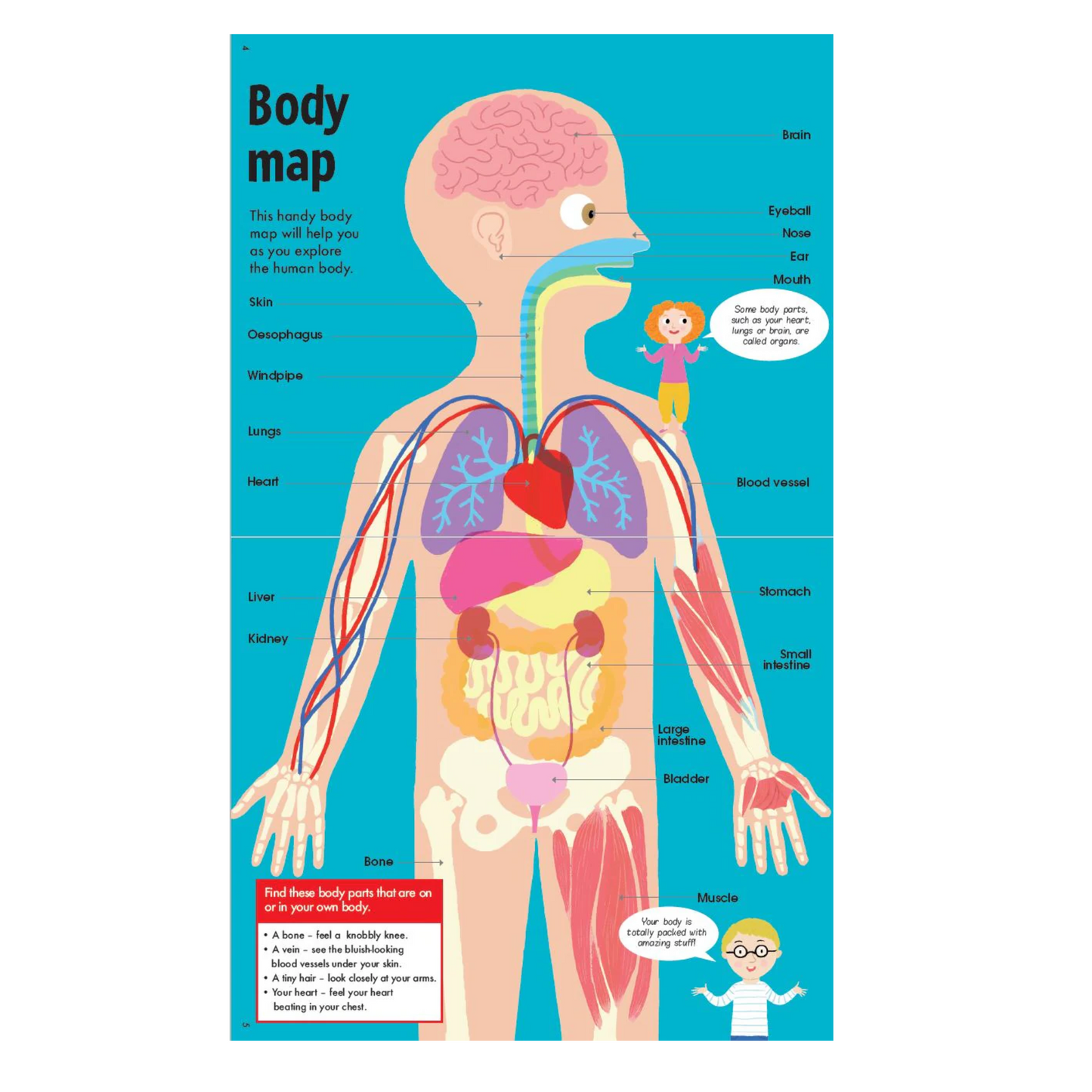 Toys - The Human Body Puzzle & Book - Stem