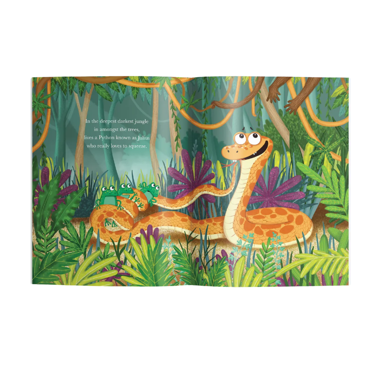 Julias Squeezer Picture Book