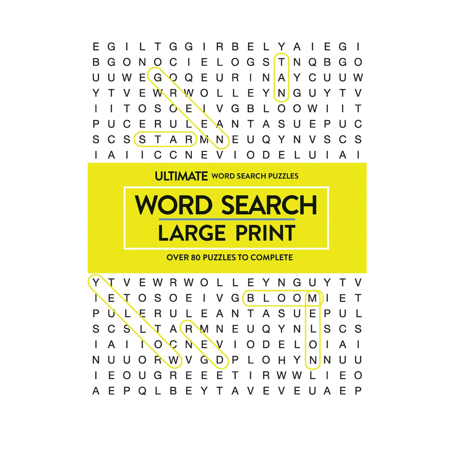 Large Print Word Search book
