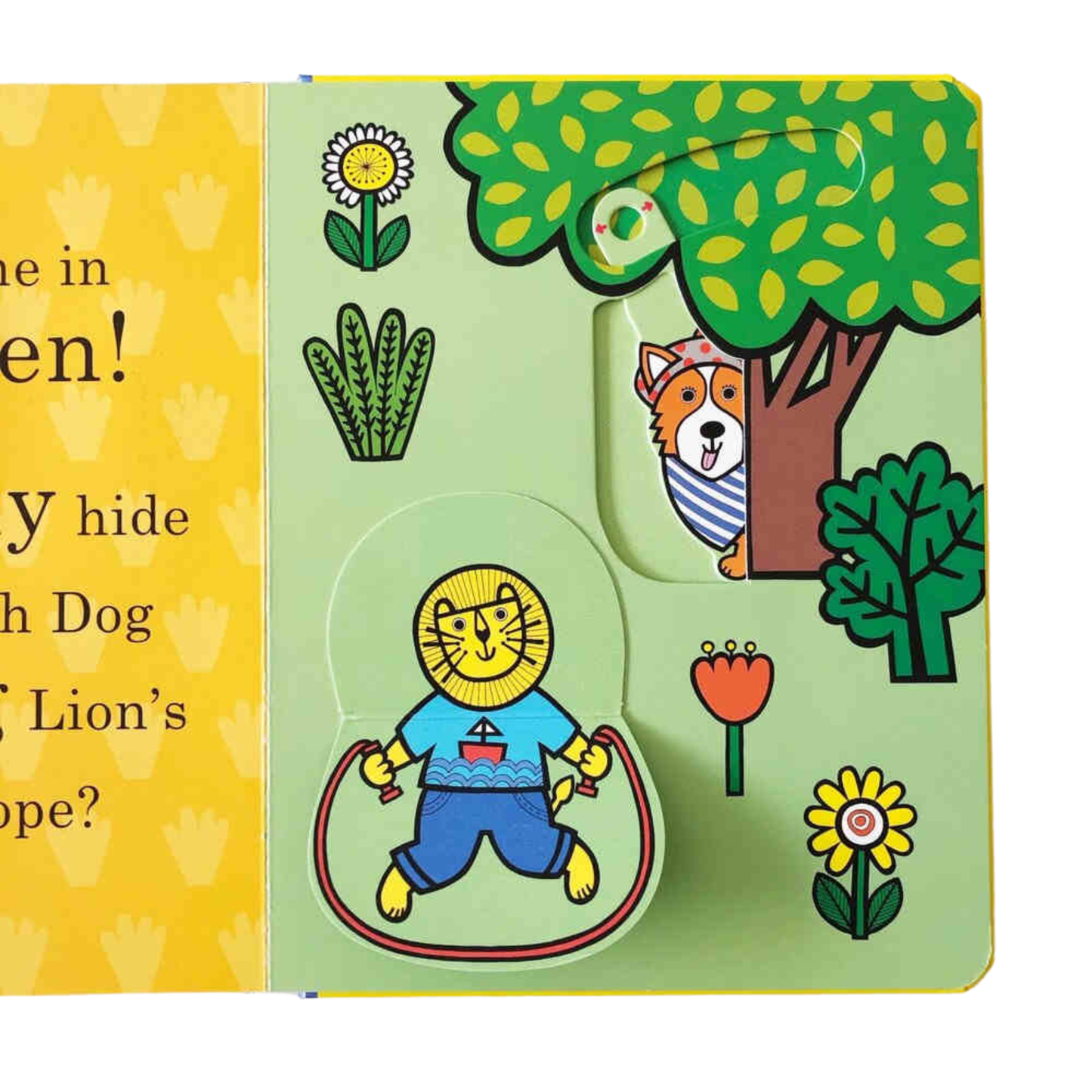 Let's Play Picture Book