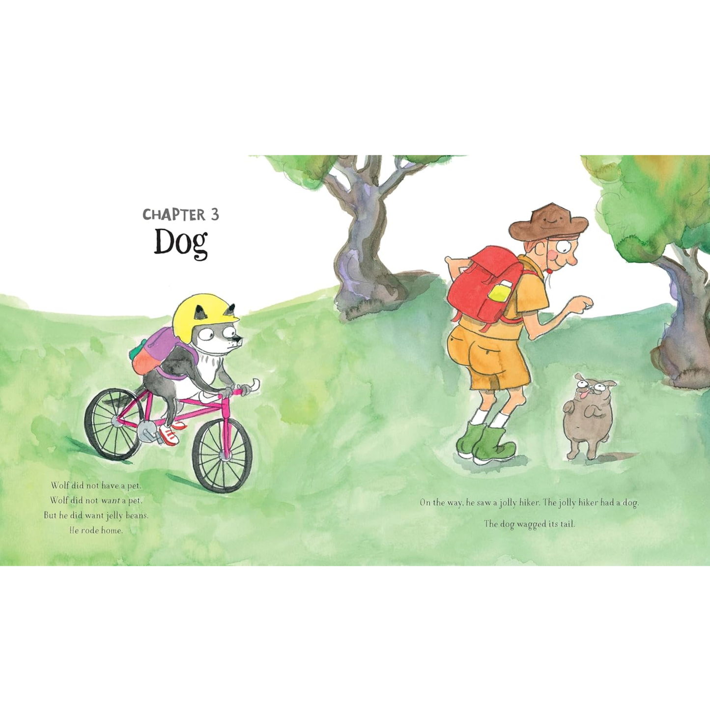 Lone Wolf Gets a Pet Hardcover Book