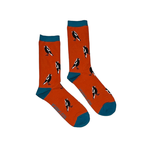 Australian Magpie Socks Large