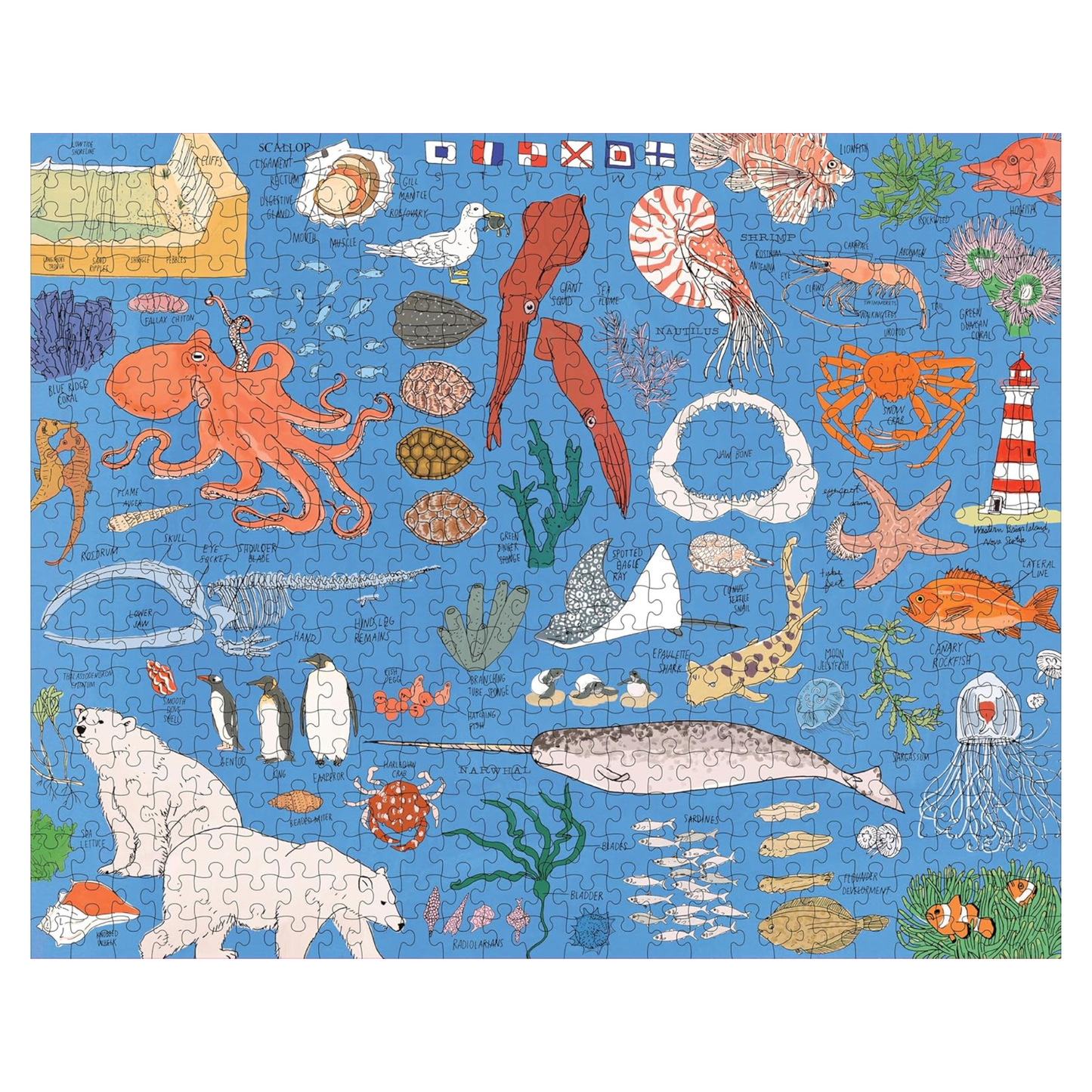 500 piece Ocean Anatomy jigsaw puzzle