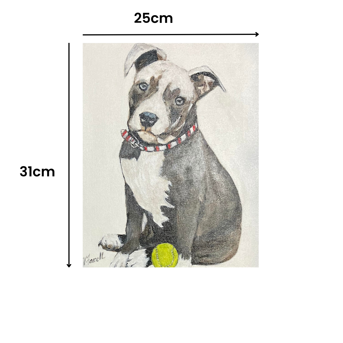 Personalised pet portrait - Val Farrell