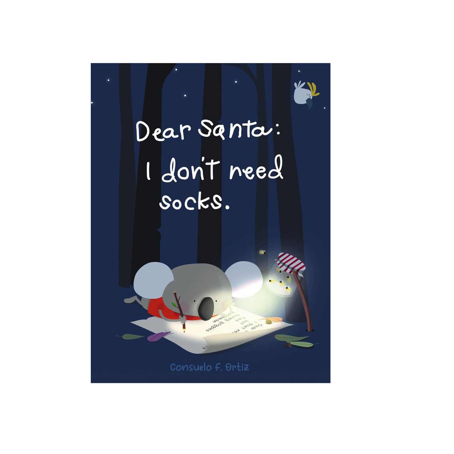 Dear Santa I Don't Want Socks Hardcover Book