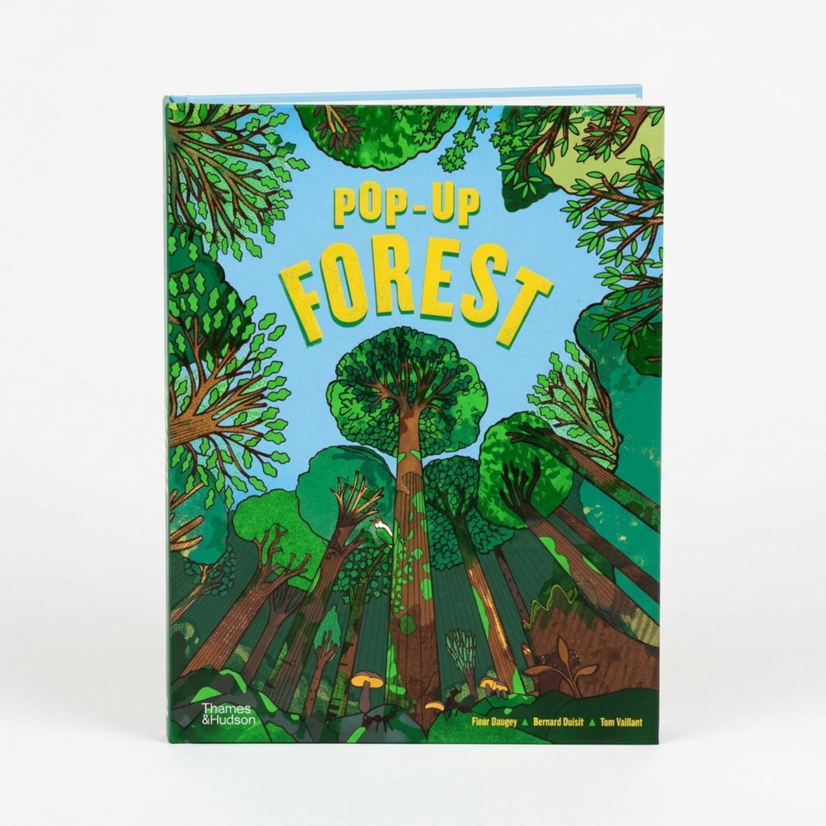 Pop Up Forrest Picture Book