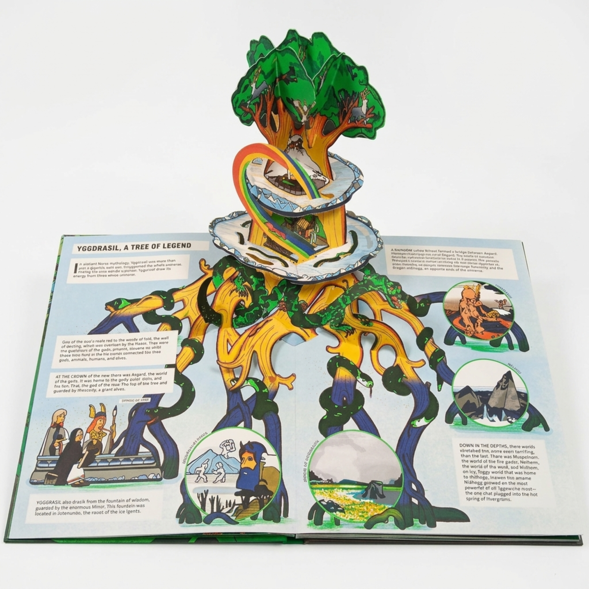 Pop Up Forrest Picture Book
