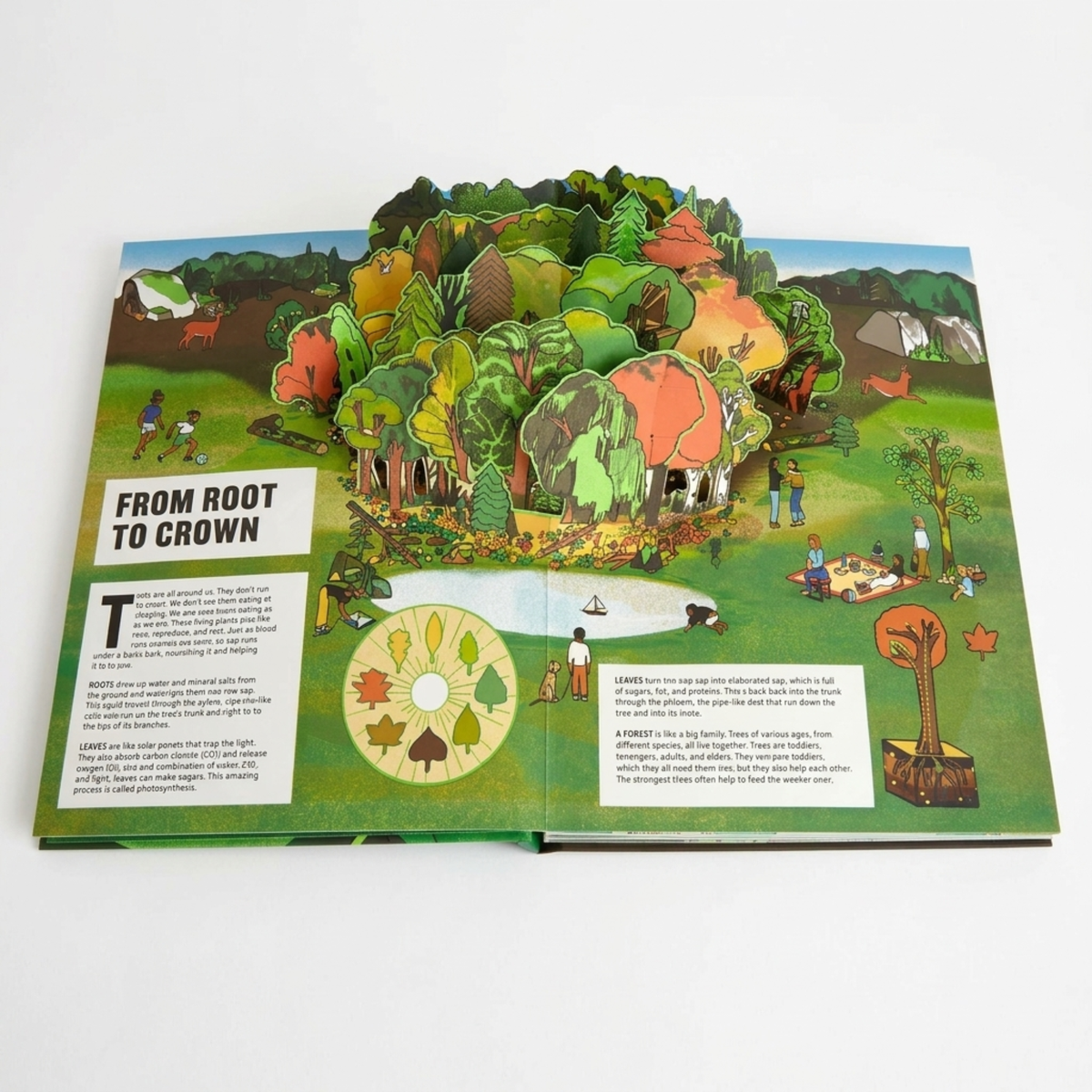 Pop Up Forrest Picture Book