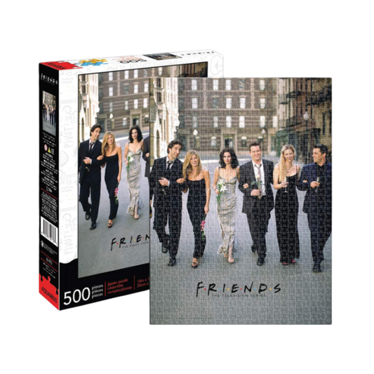 Friends 500 piece Jigsaw Puzzle
