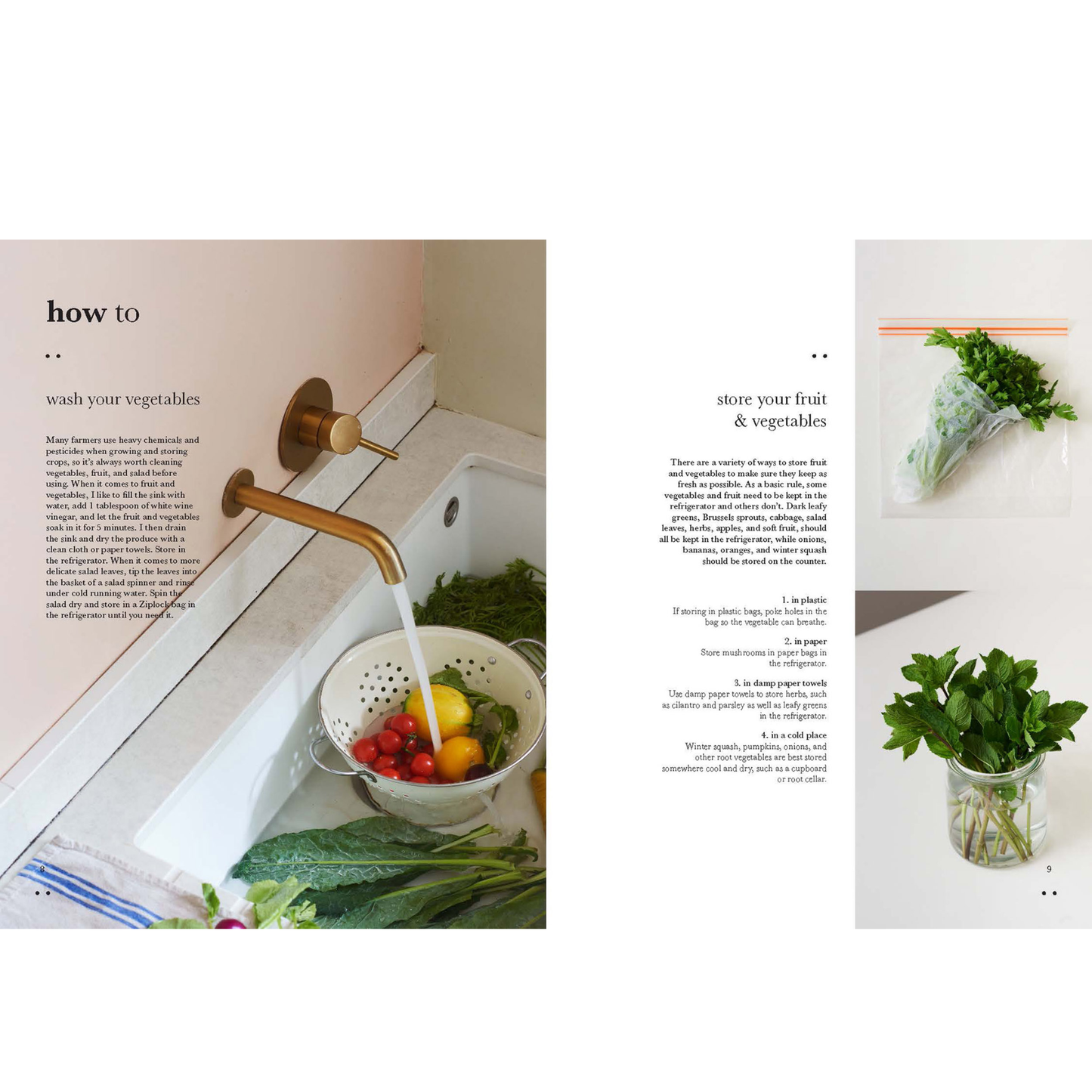 Salad Meals Cookbook