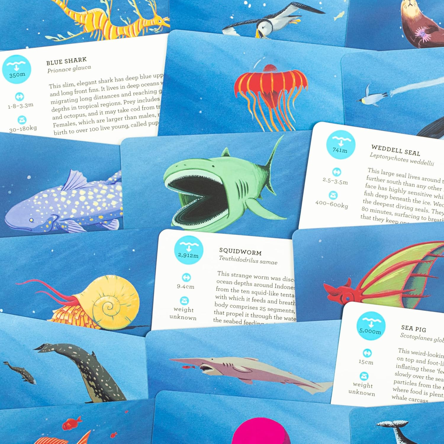 Deep Sea Discovery Card Game