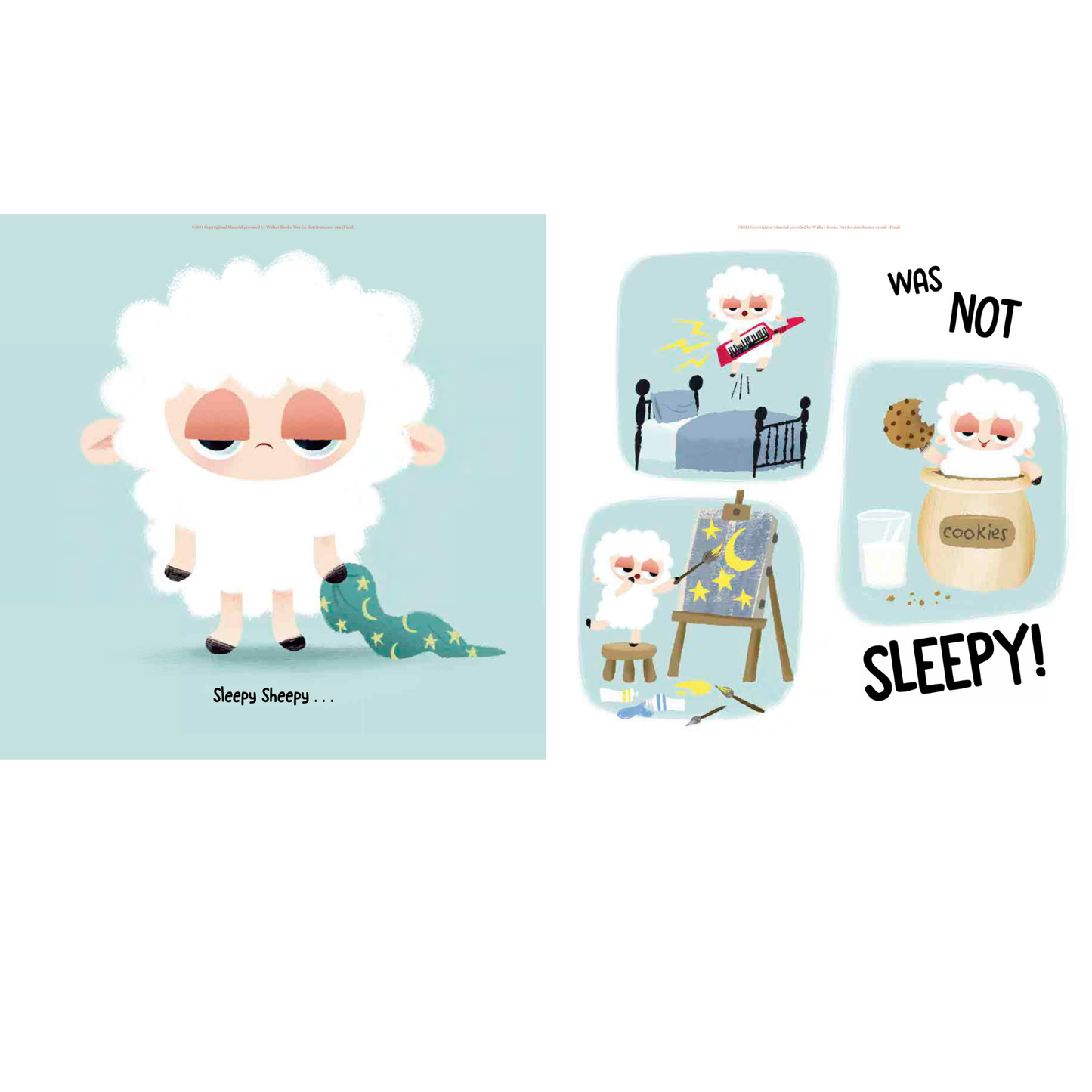 Sleepy Sheepy Picture Book