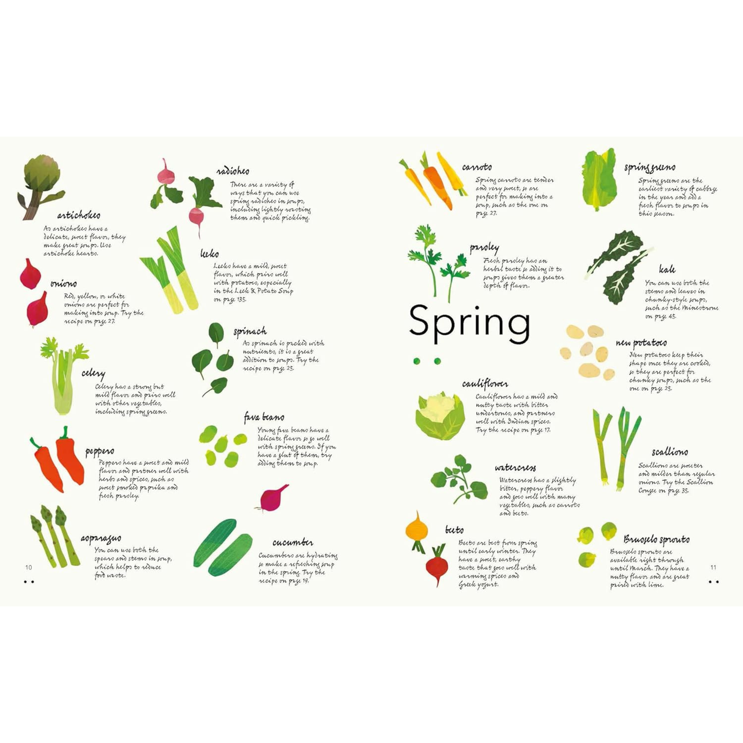 Soup Meals Cookbook