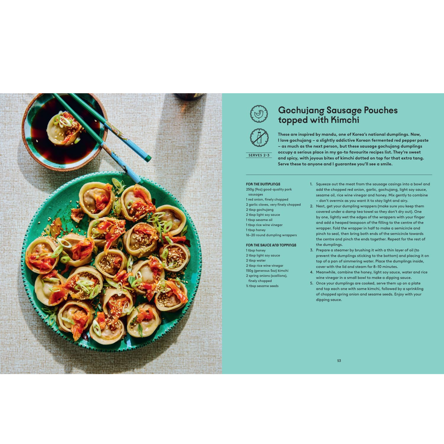 The World is your Dumpling Cookbook