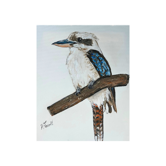 Australian Wall Art - Kookaburra Painting on Canvas - Val Farrell