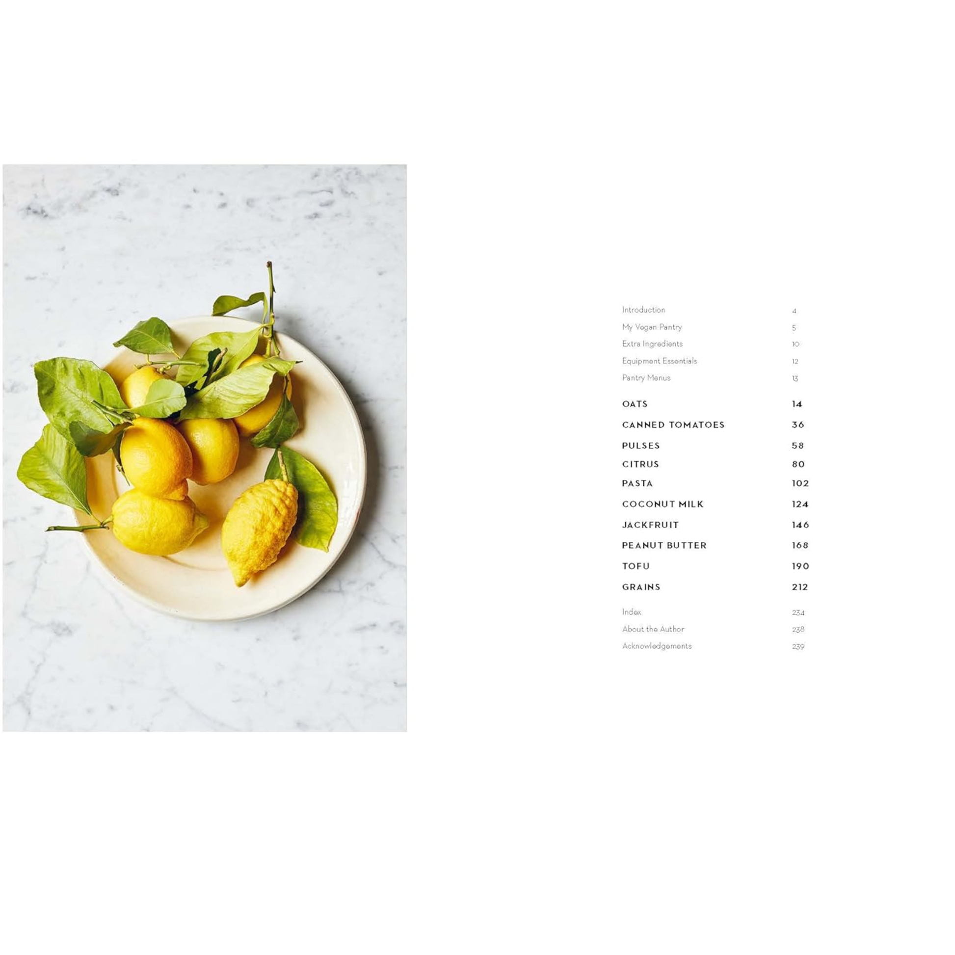 Vegan Pantry Cookbook cover featuring lemons on a plate and index on the right side.