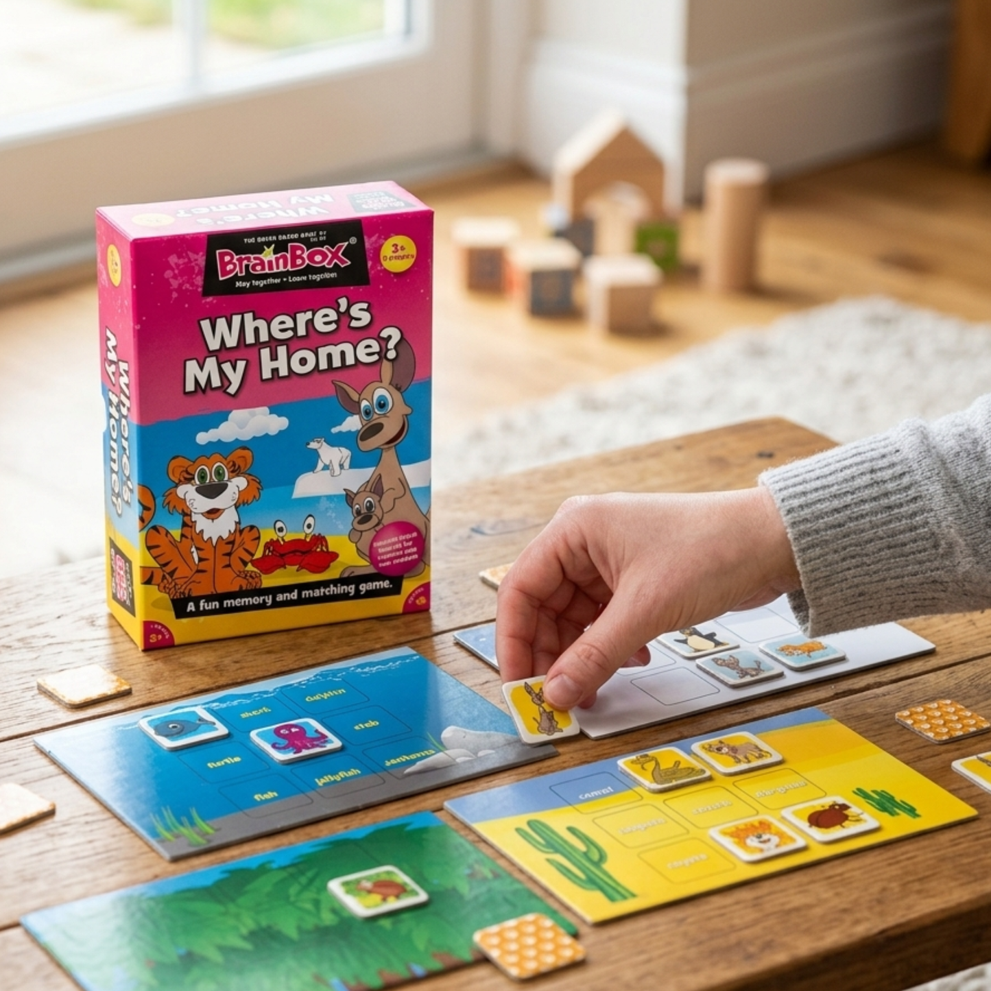 Toys - Where's My Home? - Memory Game