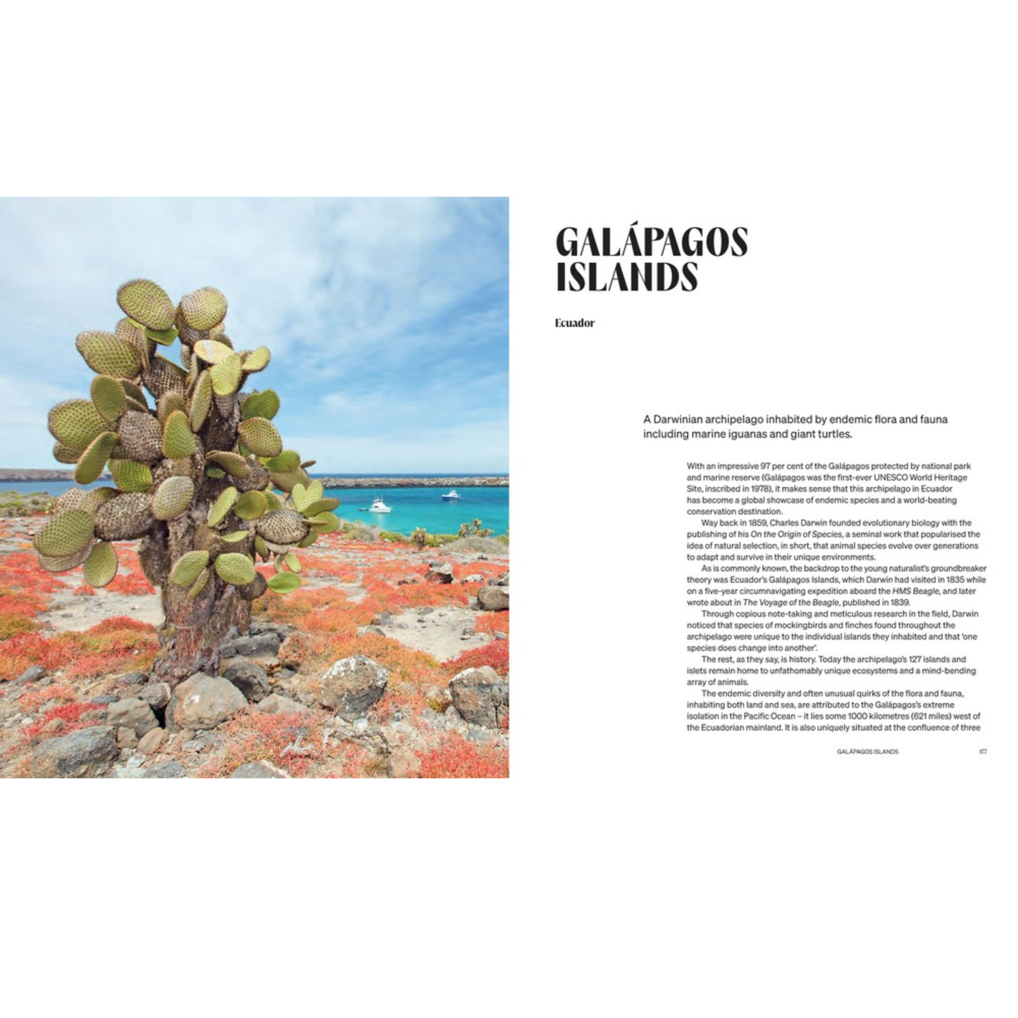 Wildnerness Coffee Table Book