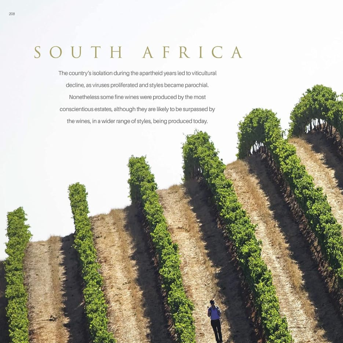The World's Wine Legends Book by Decanter