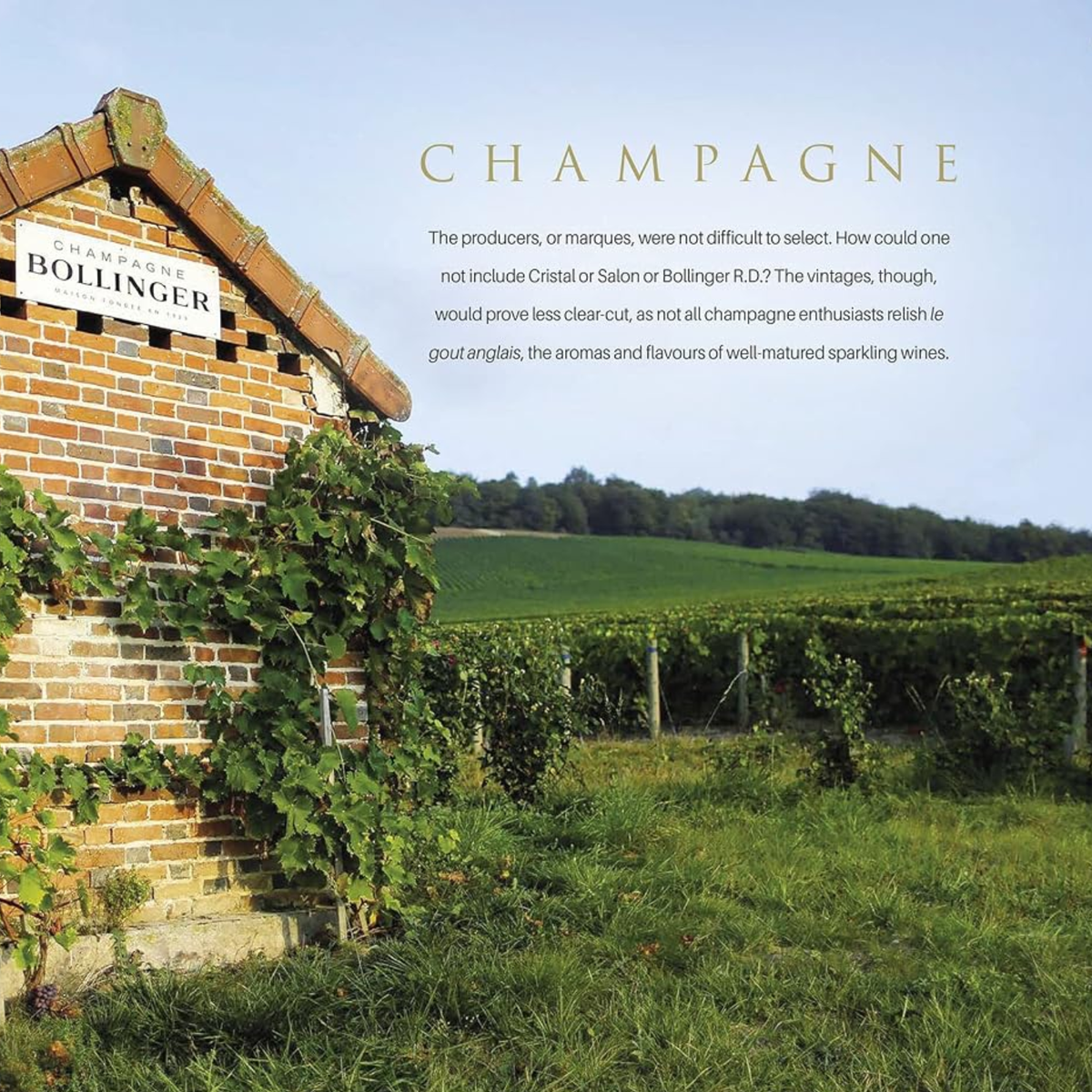 The World's Wine Legends Book by Decanter