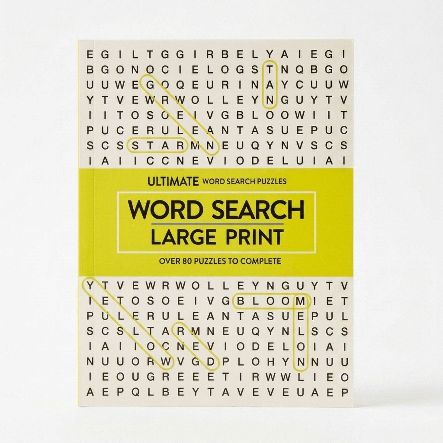Large Print Word Search book